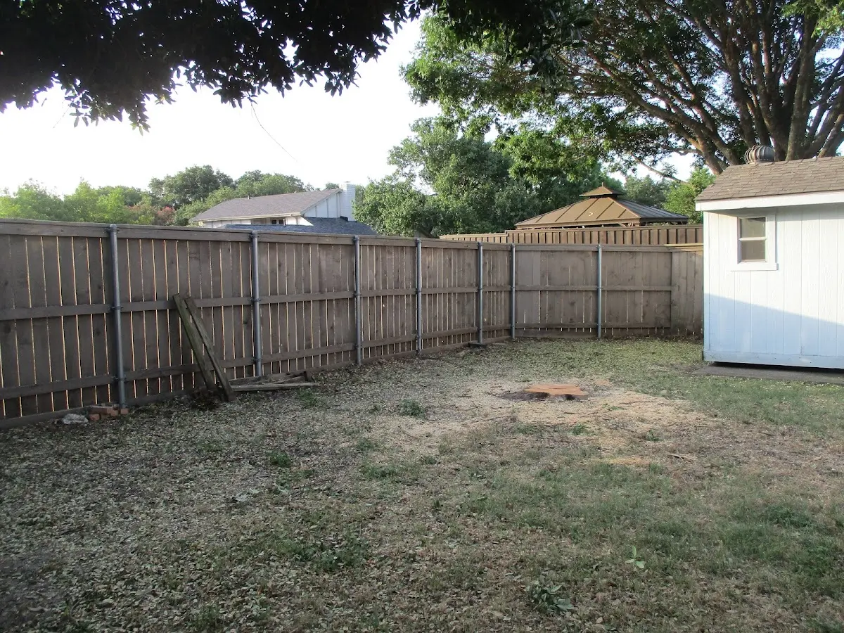 Cleared yard after professional tree removal in Clayville
